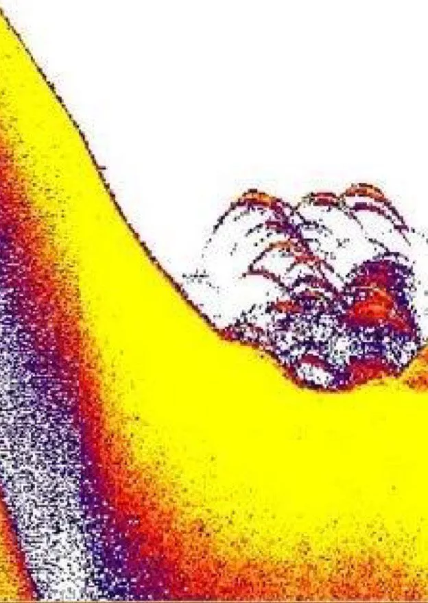 Humminbird fishing chartss with sonar technology